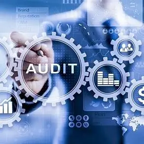 Audit site