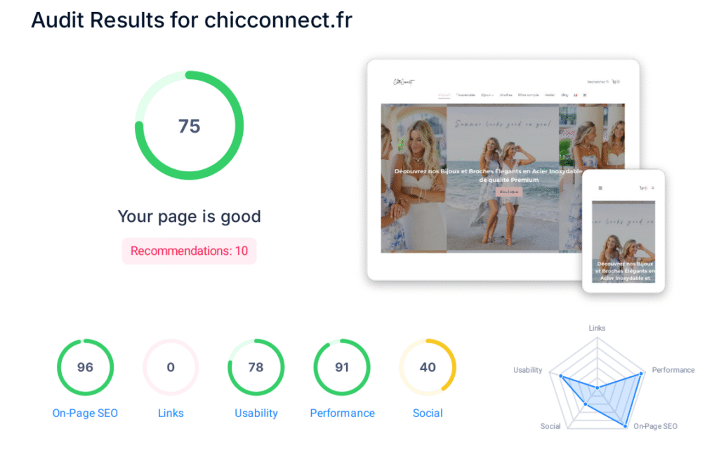 Audit SEO 1 Audi SEO